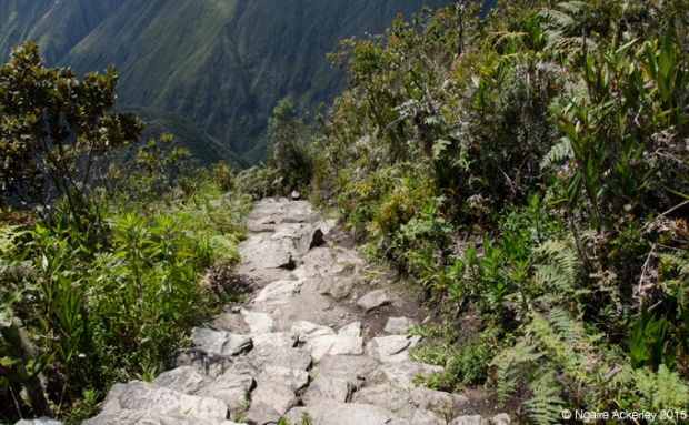 Machu Picchu Mountain - stars going down