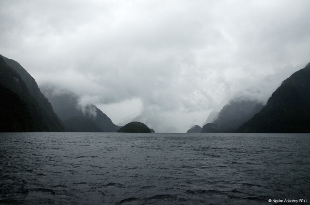 Doubtful Sound Fiordland