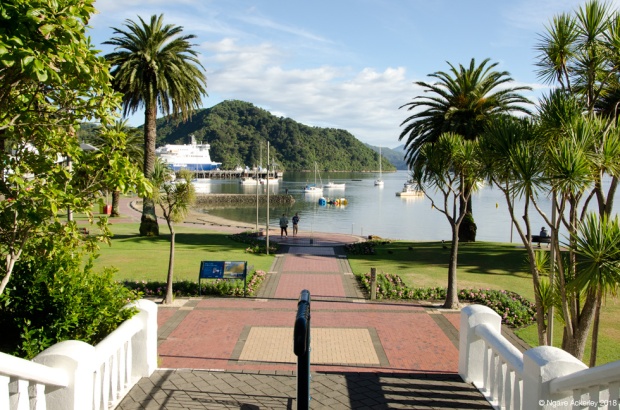 Picton harbour